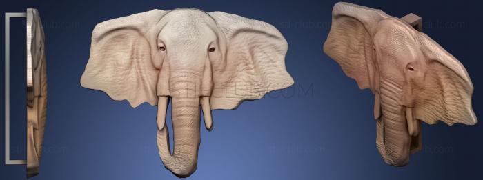 Hebilla Elefante
